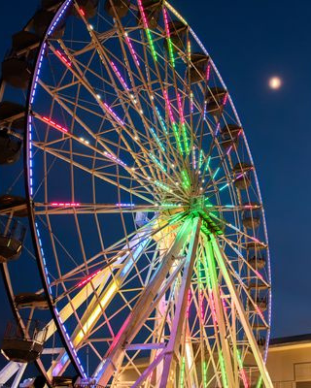 ferris wheel