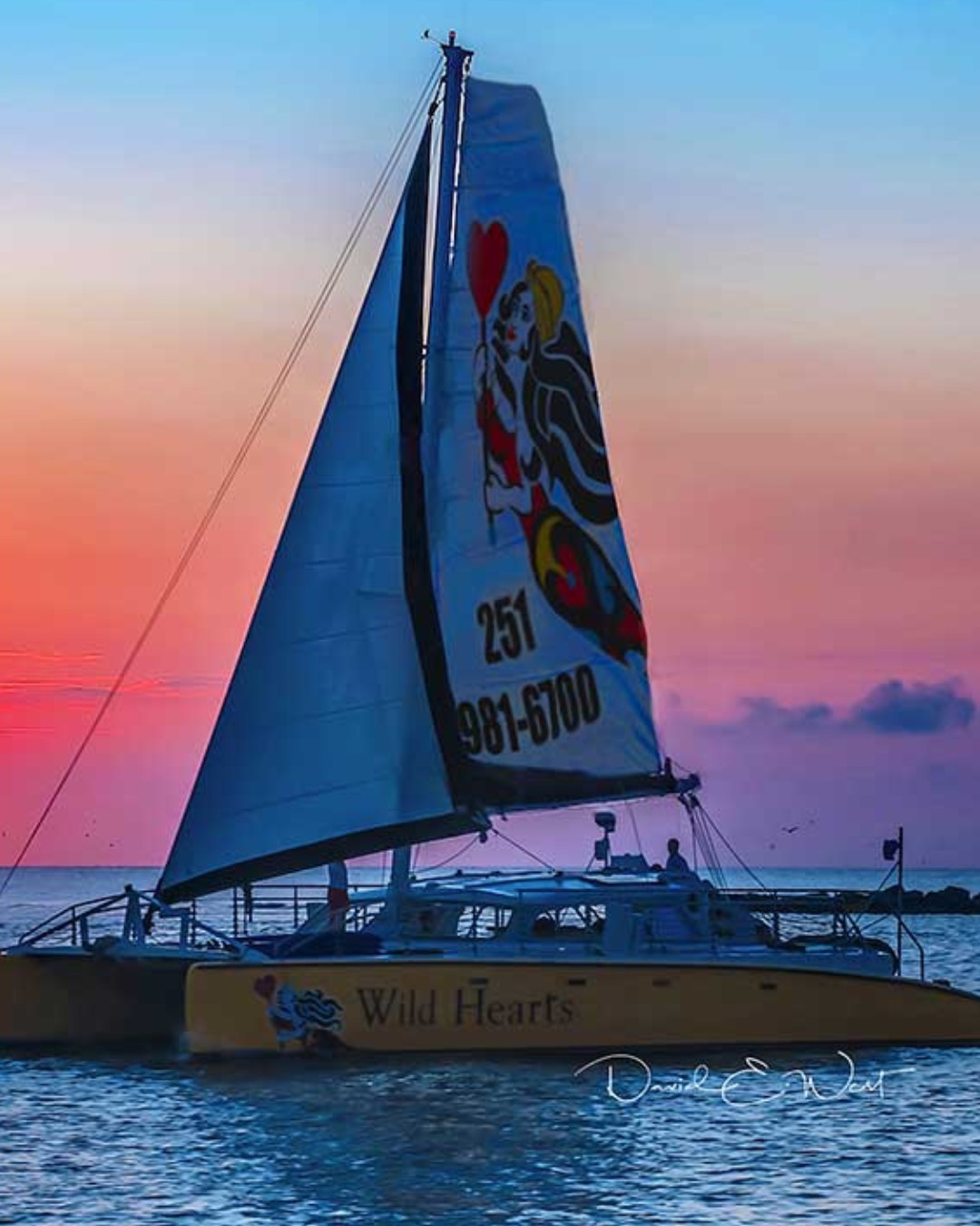 sail wild hearts